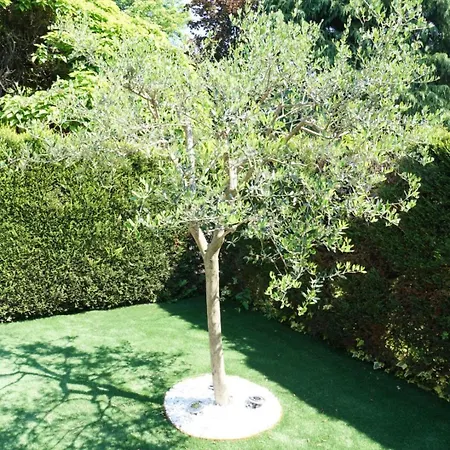 Appartement Dagi's Dolcevita